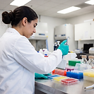 A student in a lab coat and gloves loading a 96-well microplate with a multichannel pipette, with rows of colourful immunoassay samples on the bench.