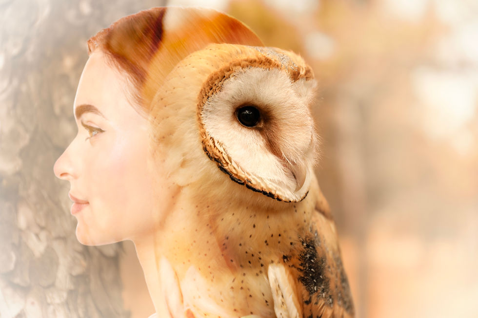 Frau mit dem Krafttier Eule - eine weise Verbündete.