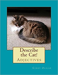Describe the Cat.jpg