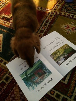 JosephineandFindtheCatBook.jpeg