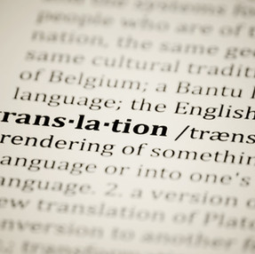Professional Translation