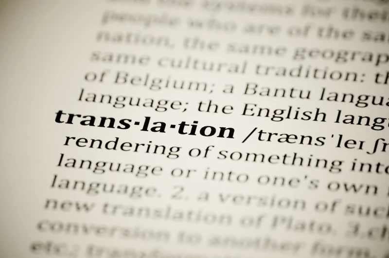 definition in dictionary 