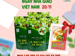 Thông báo chương trình khuyến mại tri ân ngày Nhà giáo Việt Nam 20/11