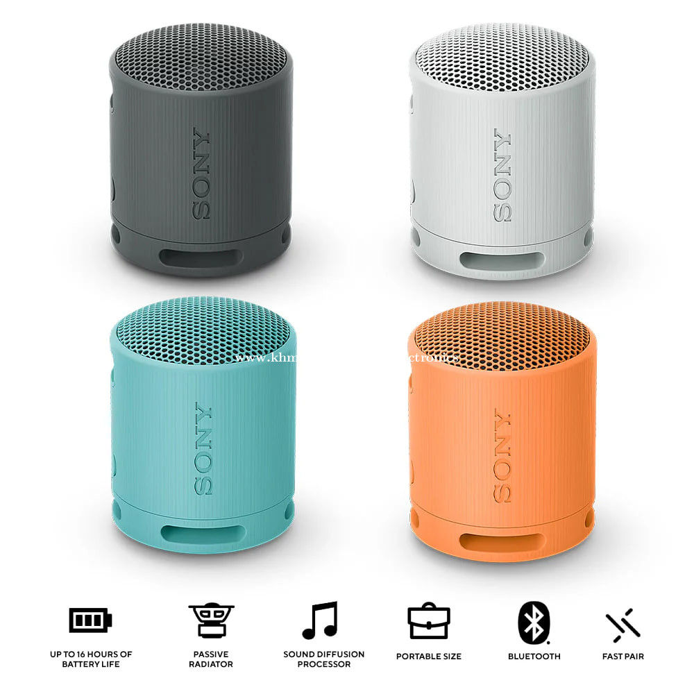 Sony SRS-XB100 Portable Wireless Speaker