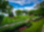 _Westedge+Grounds+Professional+Lawn+Service+in+MN+Kirk-2.jpg