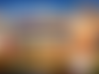 Wie gewinnt man ein Haus in einem wettbewerbsintensiven Markt in Maryland?