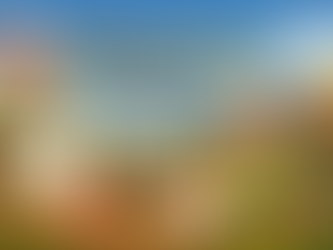 Worauf sollten Sie sich im ersten Jahr als Hauseigentümer in Maryland konzentrieren?