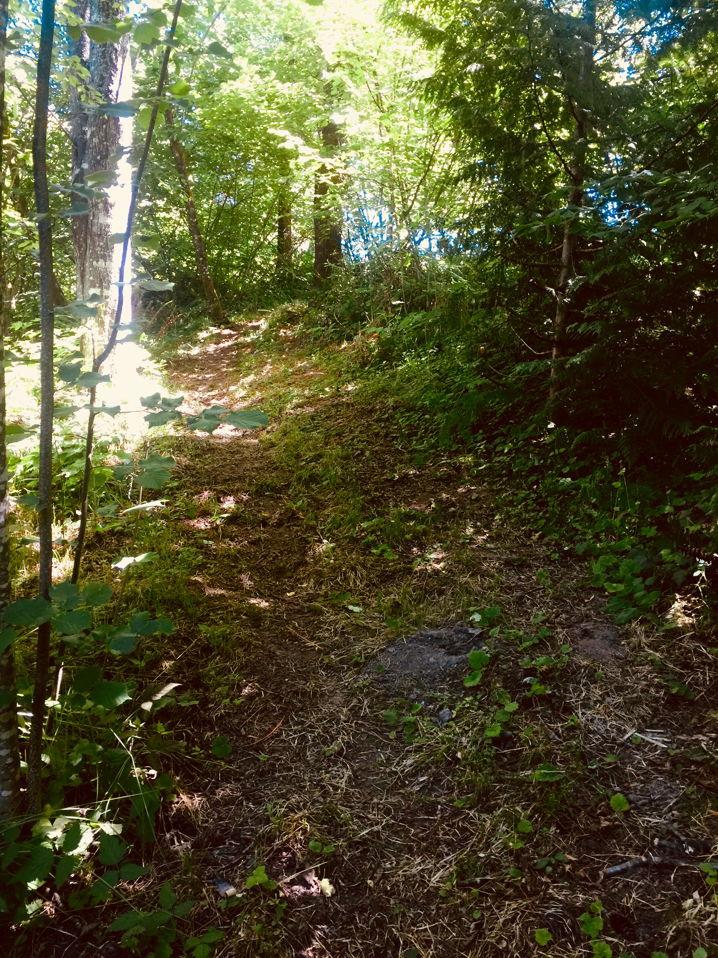 New Riding Trail on Site