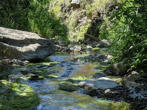 New Listing: Over 25 Acres of Land in Malibu