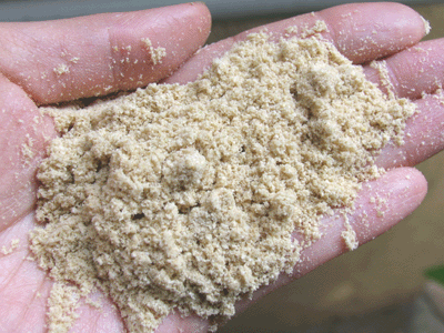 http://pasencorewash.com/mag/rice-bran-wash