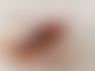 Você tem Medo de Baratas?