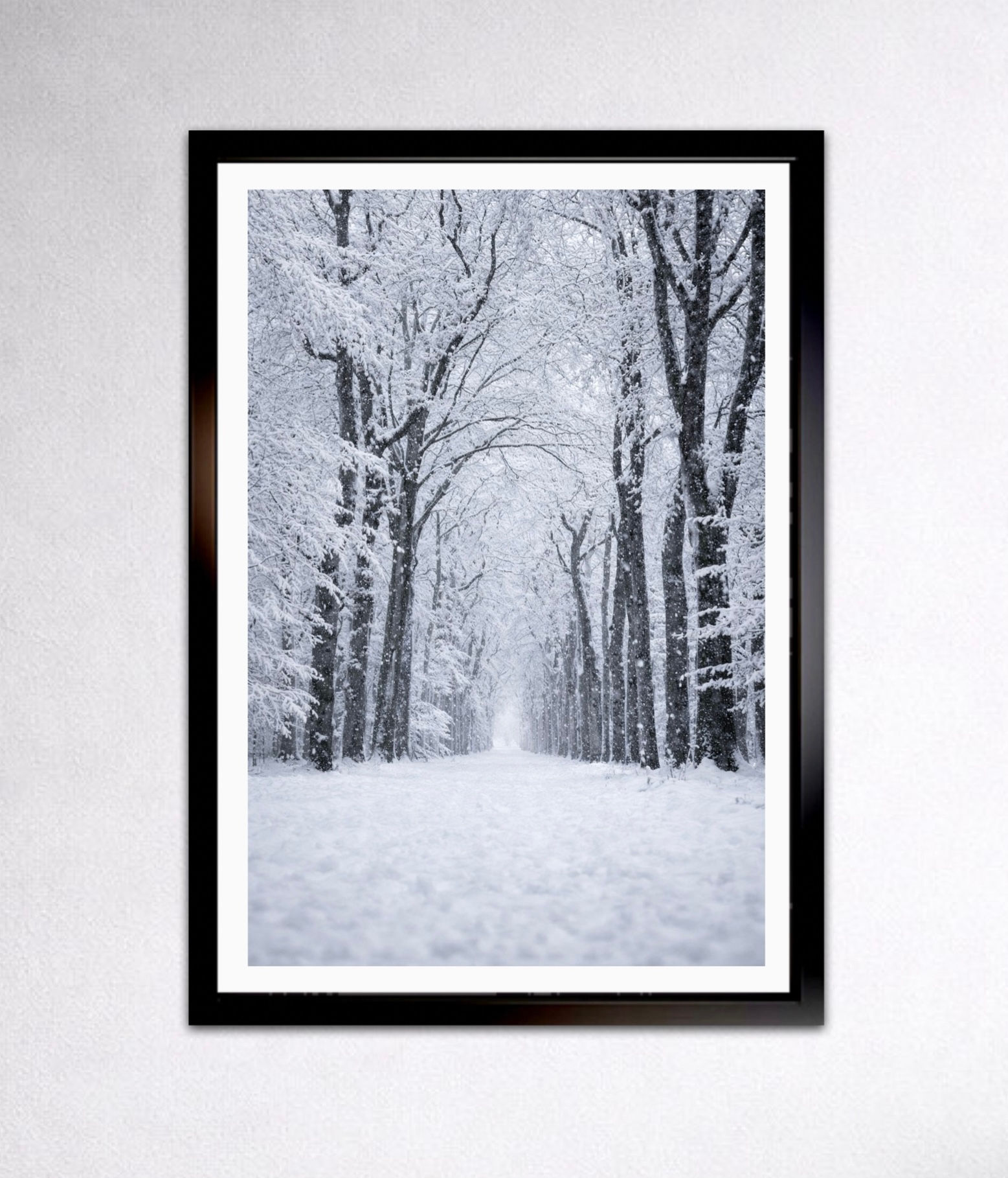 Winterse Stilte – Sprookjesachtig Besneeuwd Bospad