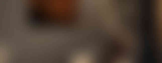 Bizon belicht door de zon