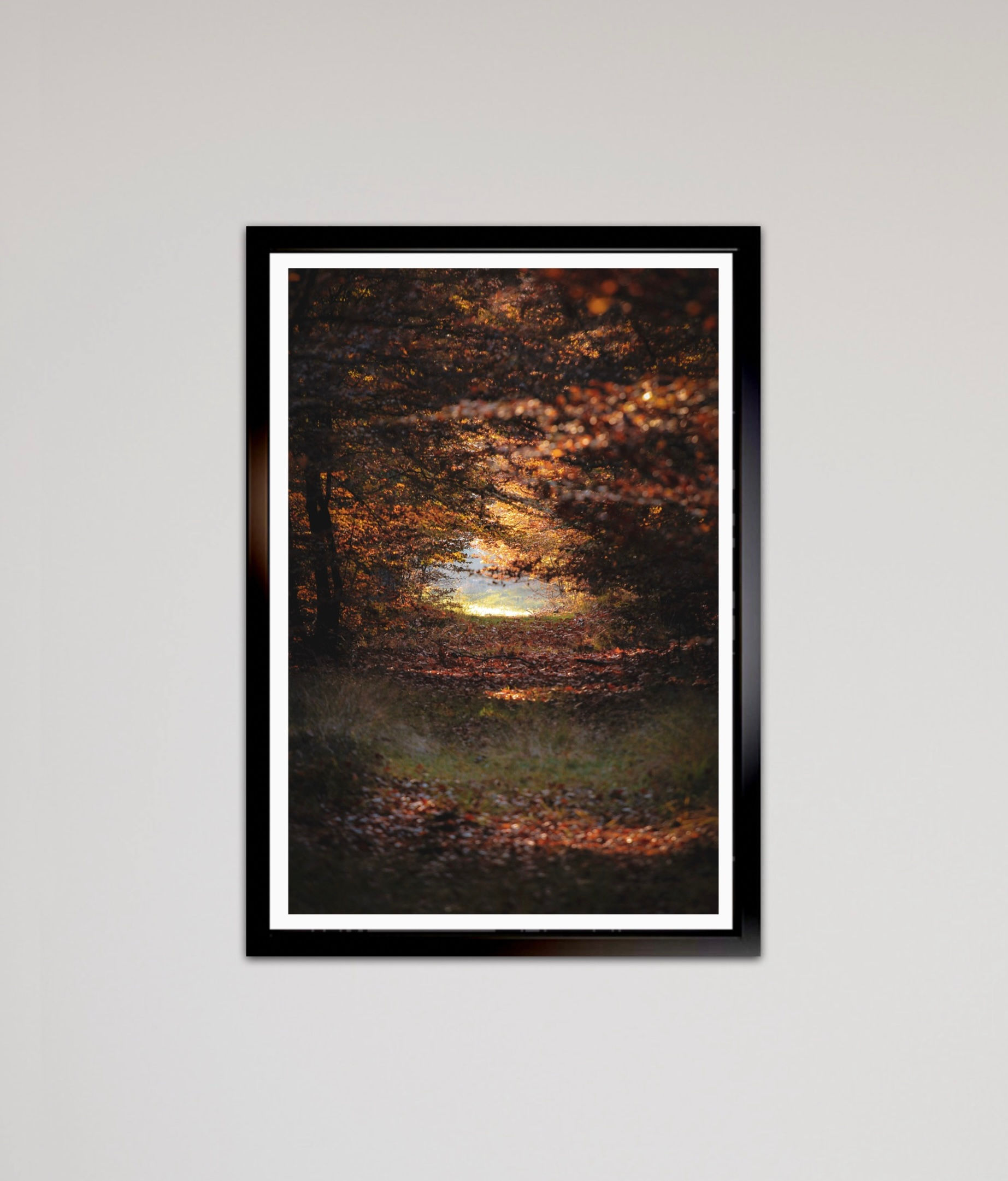 Pad met herfstkleuren