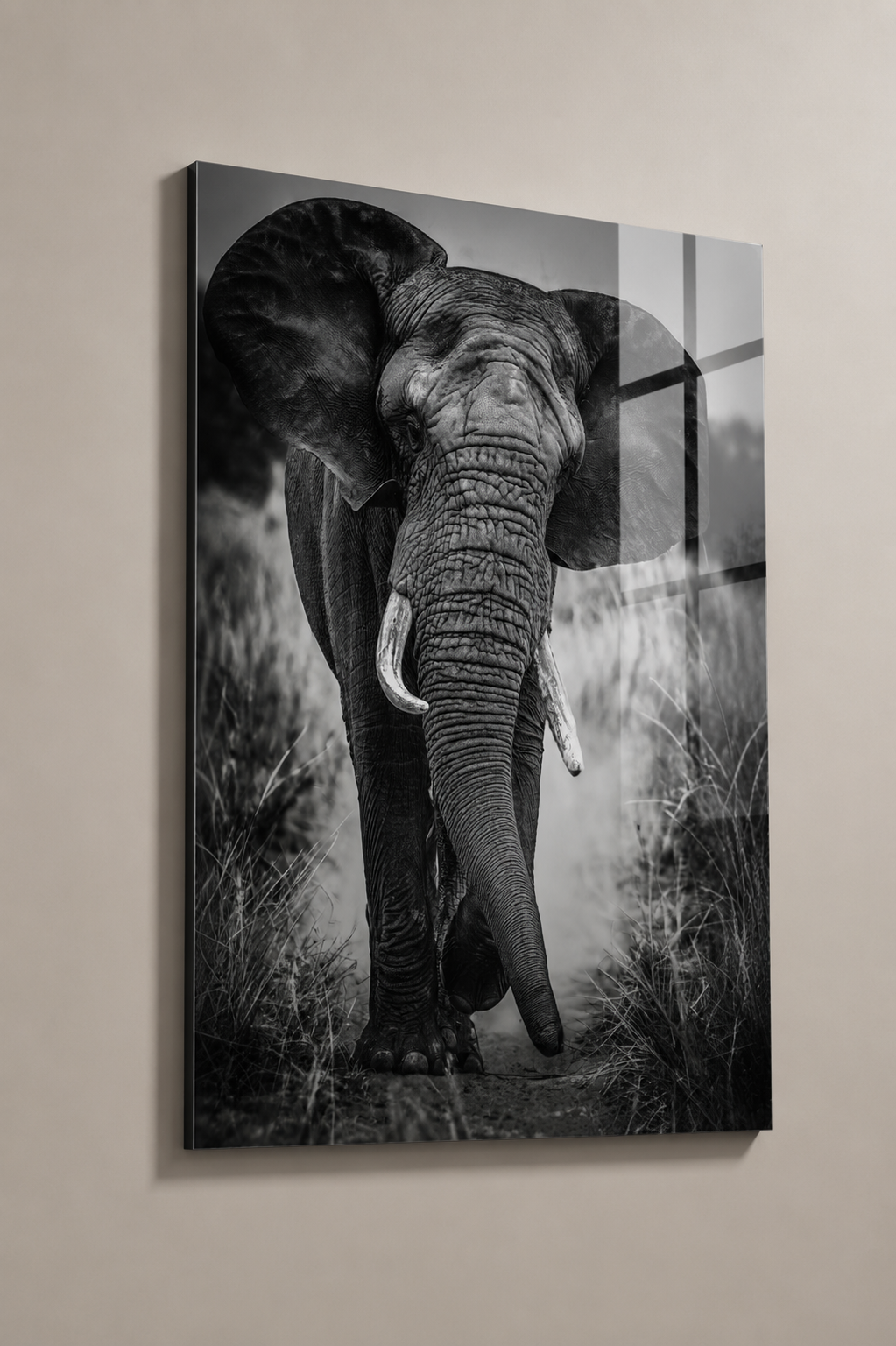 Elephant on the Plain Black/White
