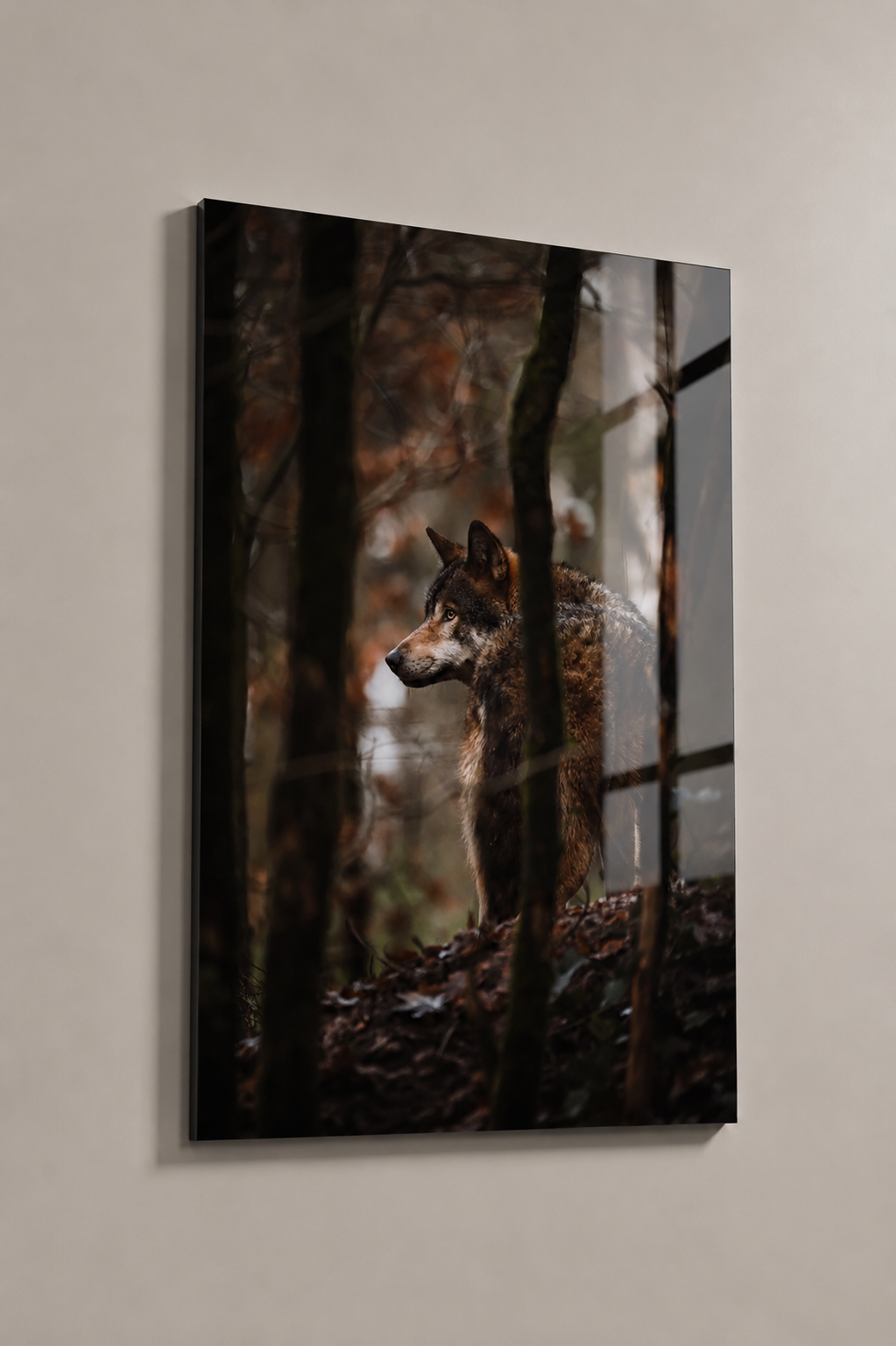 Wolf in the forest