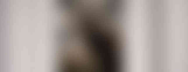 Edelhert tijdens de bronst