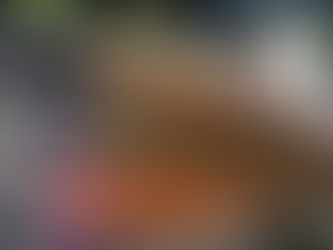 🚀 Progress Update: Building Dreams Bigger & Better in Eagle River, Wisconsin! 🏡✨