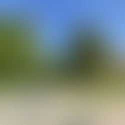 Zniesienie współwłasności nieruchomości