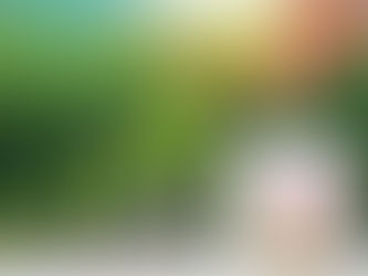Como transformar seu projeto sustentável em um excelente investimento