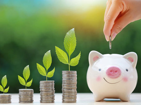 Como transformar seu projeto sustentável em um excelente investimento