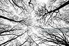 istockphoto-2213173757-2048x2048.jpg