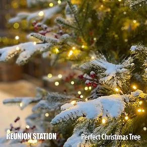 Perfect Christmas Tree.jpg