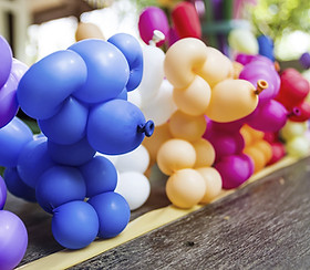 Balloon Dogs