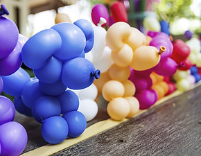 Balloon Dogs
