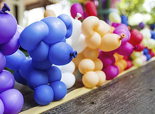 Balloon Dogs