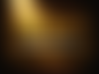 Chasing The Fall - The Show