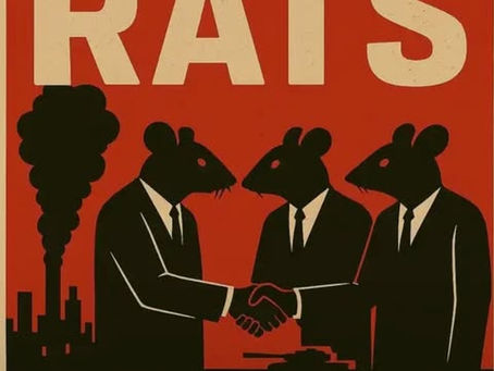 We're Not Scared Of Robots - Rats