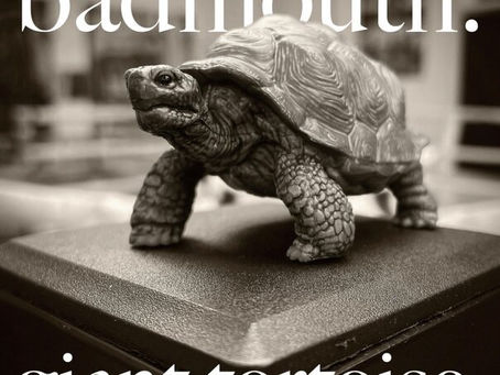 badmouth. - Giant Tortoise