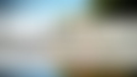 Righteous Brings Gladness