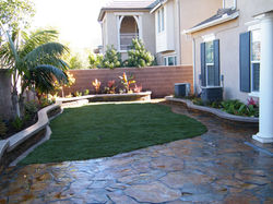 Complete back yard