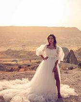 Tulle Long Photoshoot Dress1.jpg