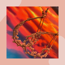 Indigo Fog post (1).png