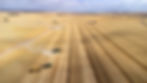 Connected Intelligence during harvest.jpg