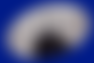 Value+d: Unwrapped with F&B Brand Expert Olivia Hasler