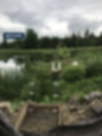 Duvall Estate pond before the bridge was built