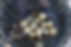 The Forager_0002_edited.jpg