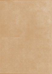 Dry_Ink_Ochre.jpg