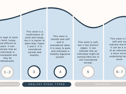 Nurturing Digestive Health And Harmonizing Bowel Function
