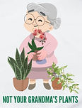 Gift card image -Granny1