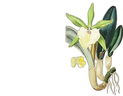 Untitled presentation (29)_edited_edited