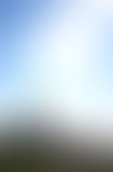 Inner Journey, Outward View.