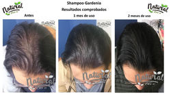Testimonio Shampoo Gardenia