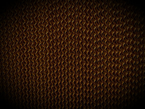 PXL_20230323_163309431_edited.jpg