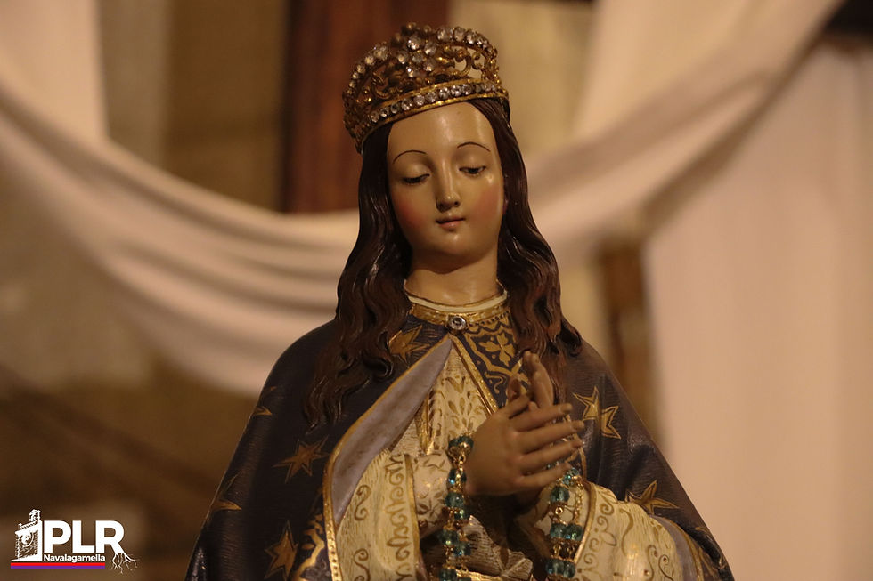 Iluminaria de la Inmaculada Concepción