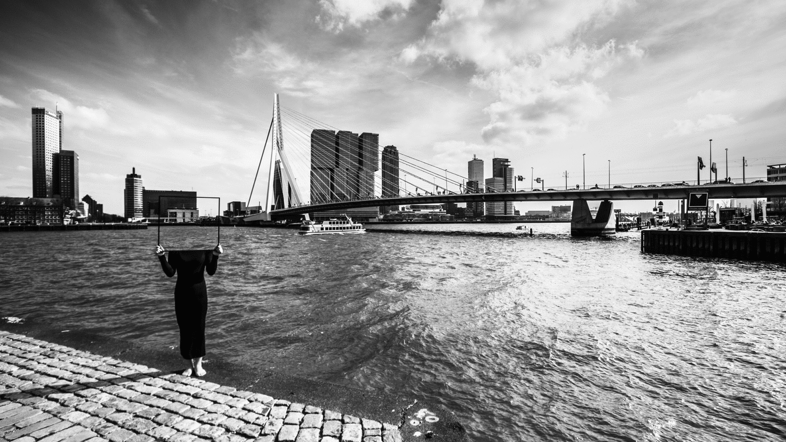 rotterdam 2 .gif